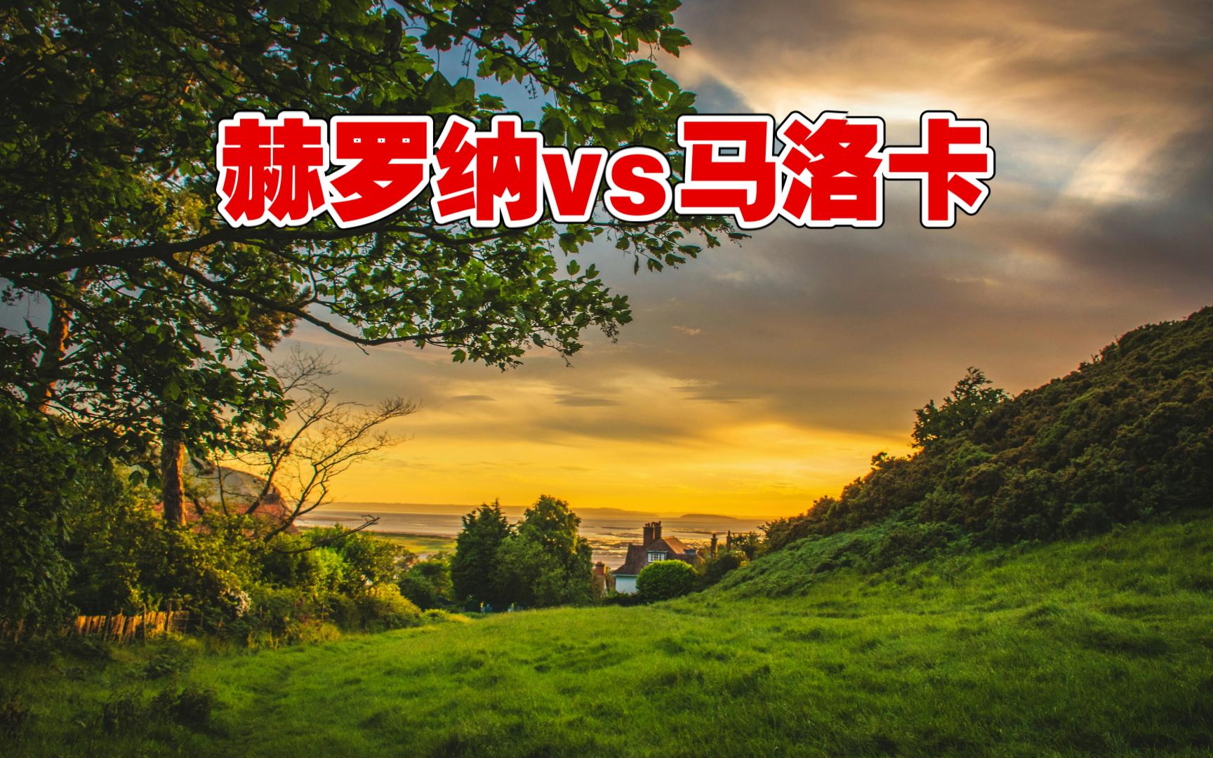马洛卡战胜赫罗纳，保级战略全面展开的简单介绍